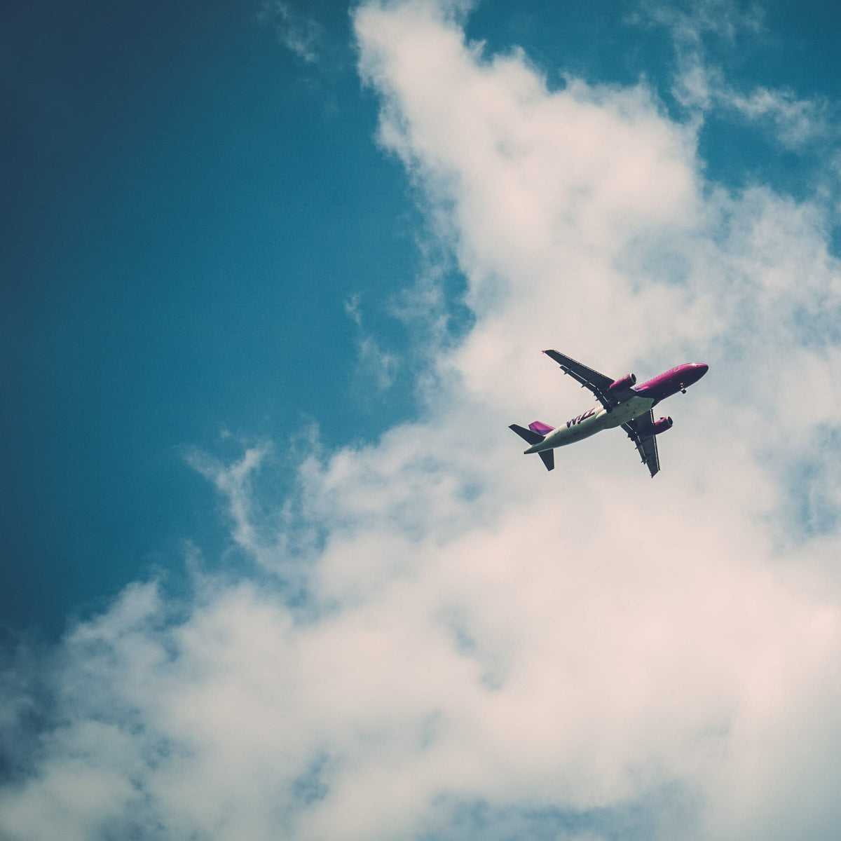 Maintain Your Healthy Routine While You Travel - Raw Generation