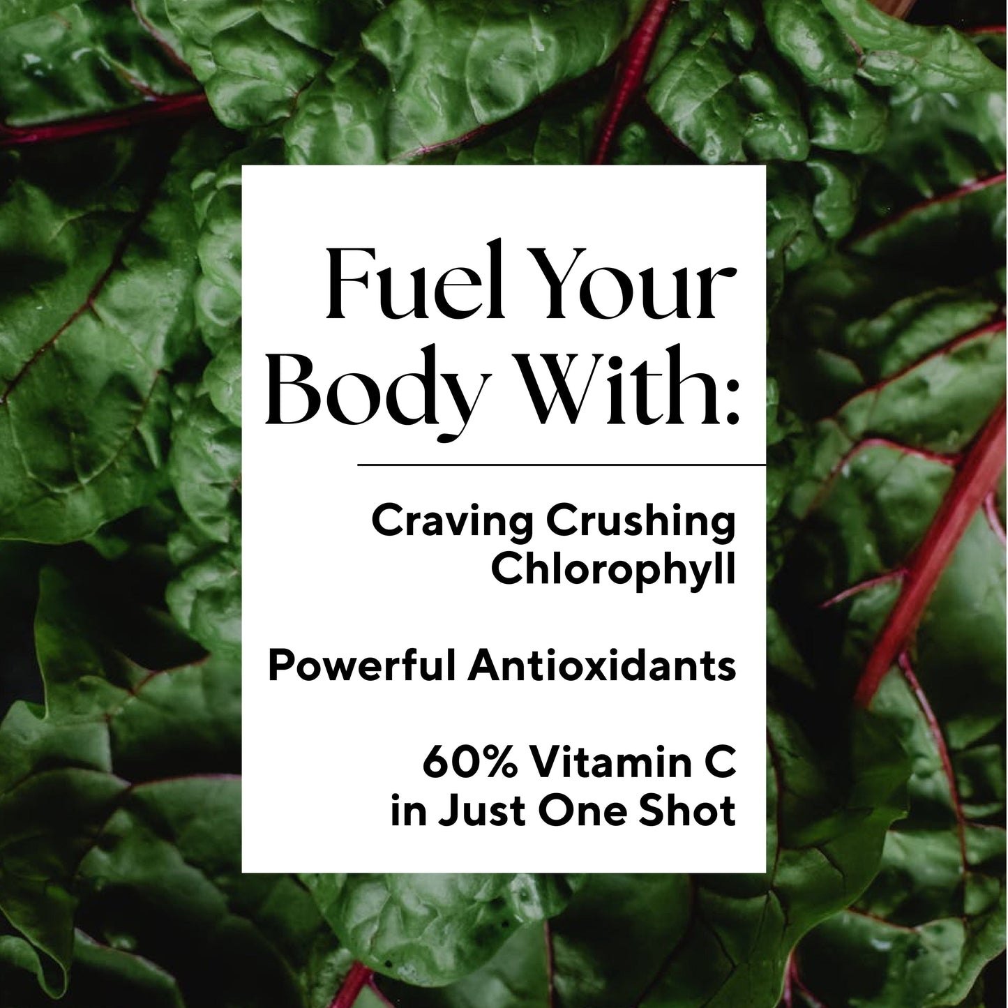 fuel your body with...