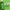 Green Routine® juice bottle featuring chlorophyll-rich greens, promoting wellness, craving reduction, and energy boost, made with raw, vegan, non-GMO ingredients.