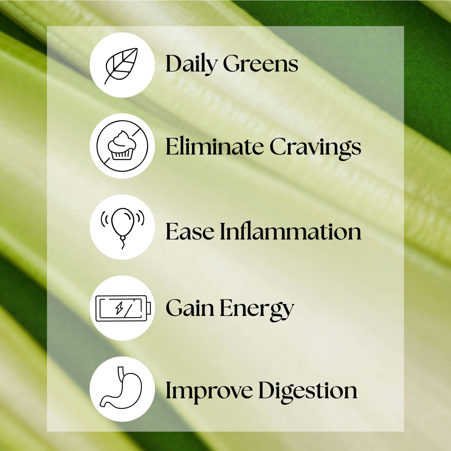 Green Routine® product image with a screenshot featuring black and white health symbols, representing its nutrient-rich, leafy green ingredients for cravings and wellness.