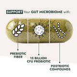 Gut Restore - Daily Debloat Formula - Raw Generation