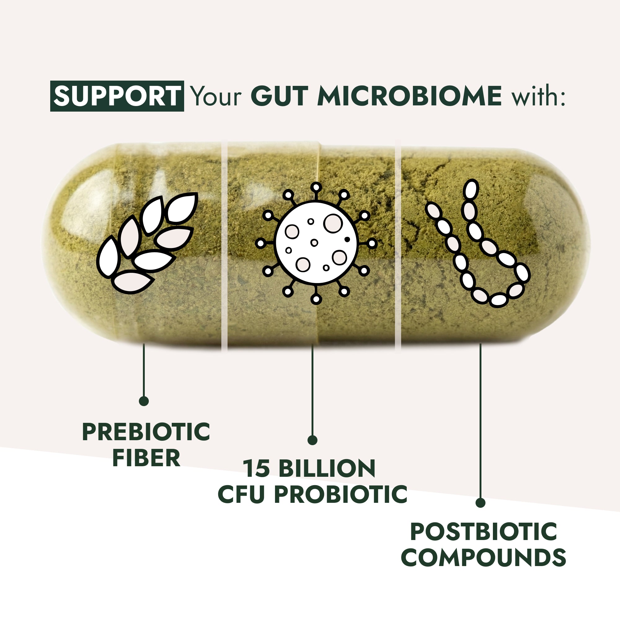 Gut Restore - Daily Debloat Formula - Raw Generation