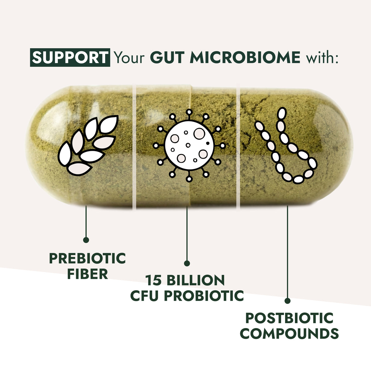 Gut Restore Daily Debloat Formula: Oversized capsule illustration highlighting prebiotic fiber, 15 billion CFU probiotics, and postbiotic compounds designed for gut microbiome and digestive wellness support.