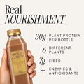 Protein Routine - Raw Generation