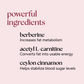 Metabolism Boost Capsules graphic highlighting berberine, acetyl L-carnitine, and Ceylon cinnamon benefits for enhancing fat metabolism, energy conversion, and stabilizing blood sugar.