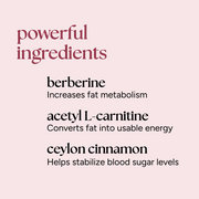 Metabolism Boost Capsules graphic highlighting berberine, acetyl L-carnitine, and Ceylon cinnamon benefits for enhancing fat metabolism, energy conversion, and stabilizing blood sugar.