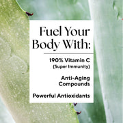 Cool Greens product close-up showing its label with black text on a white background, highlighting aloe vera benefits for wrinkles, healing, and dental health.