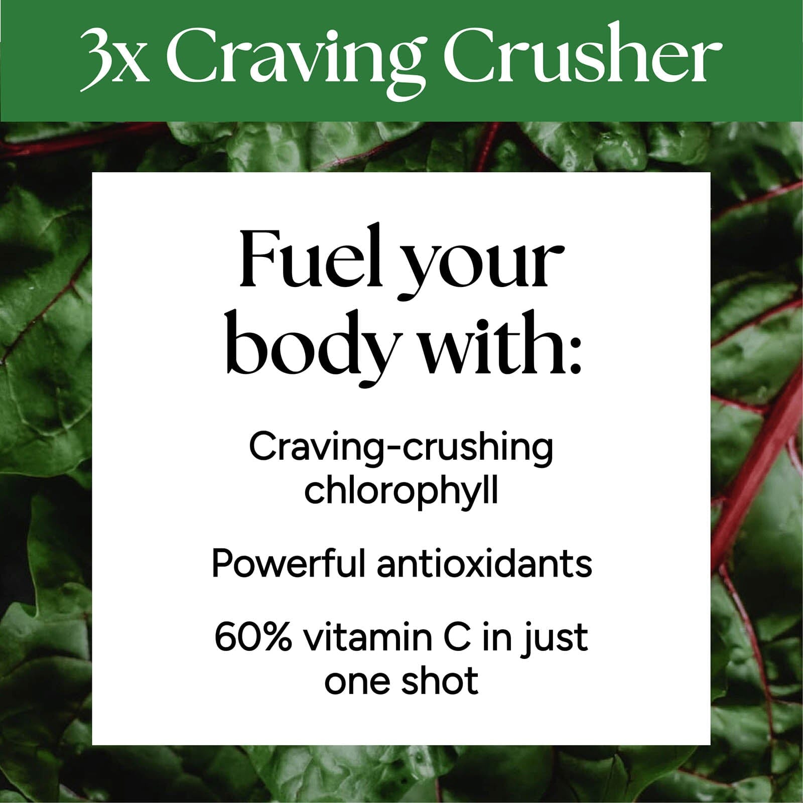 Functional Shots - 12-Pack with a close-up of a leafy plant, highlighting the natural ingredients that support digestion, workout enhancement, and restful sleep.